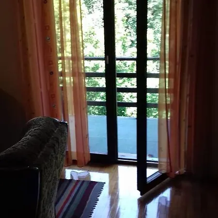 Apartman River View *