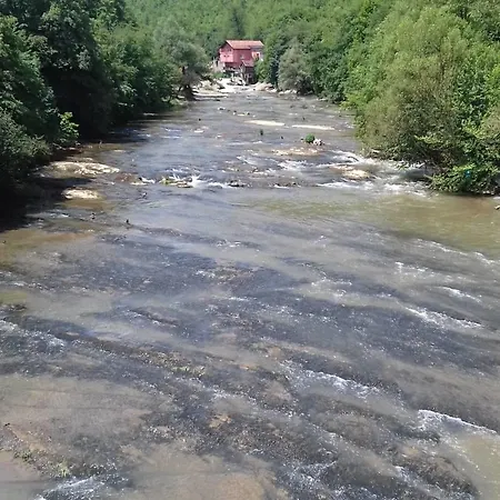River View *